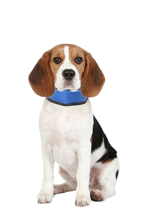 Cooling collar in 3 sizes
